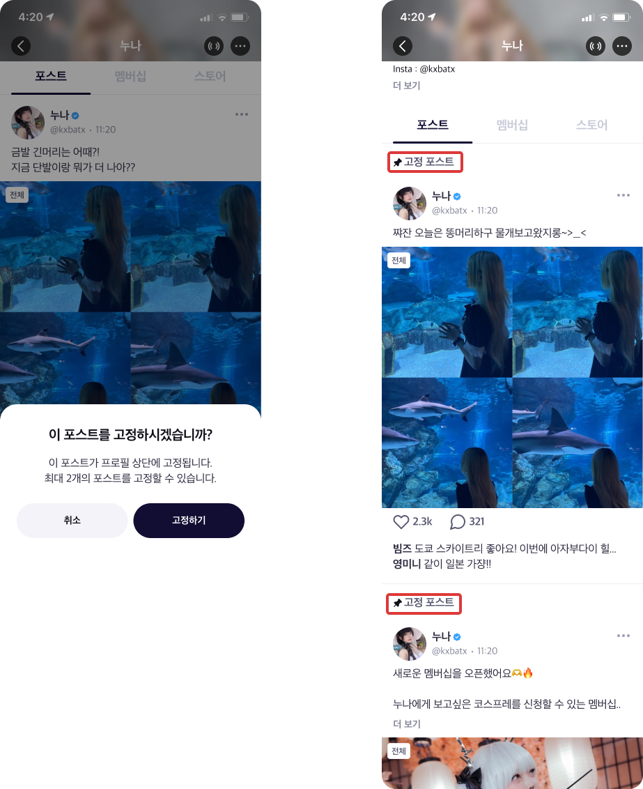 고정포스트2개.png